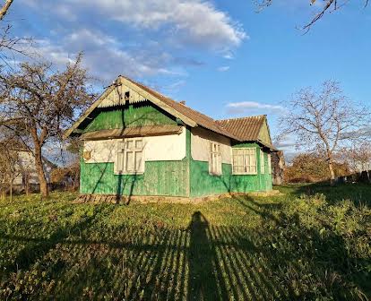 Продається будинок в селі Павликівка
