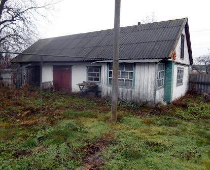 Продається будинок в селі Солониця Лубенського району