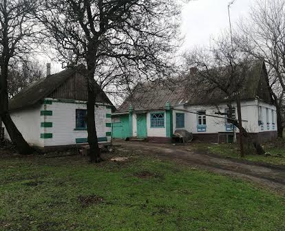 Продам будинок в селі Любимівка