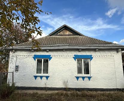 Будинок із земельною ділянкою  (село Рачки Білоцерківського району)