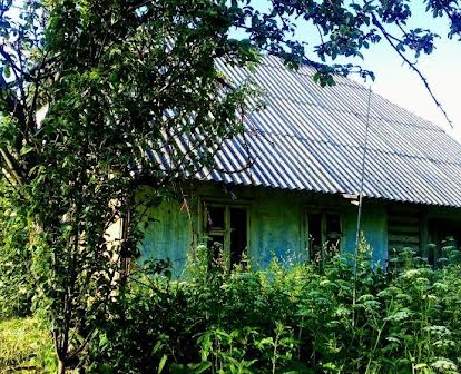 Хата + земельна ділянка в селі Нижній Струтин - все приватизовано!