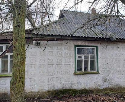 Будинок в Камянці Черкаської області