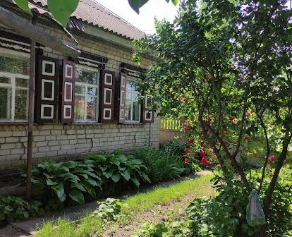 Продам приватний будинок у смт Павлиш
