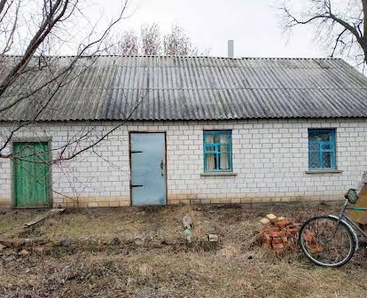 Будинок з земельною ділянкою 43 сотки Козятин ОТГ село Титусівка