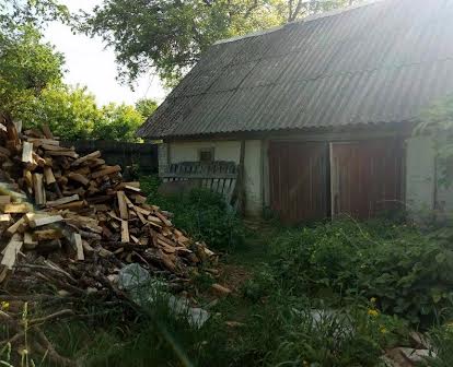 Продам дом в селе Волчек, Черниговская область