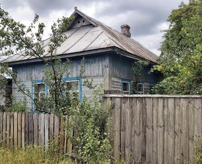 Продам будинок у селі Олешня. Блакитні озера.