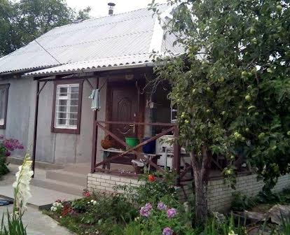 Будинок в селі Червоне Фастівського району