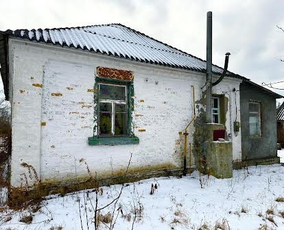 Продаж будинку та земельної ділянки центр Сенькувки , Бориспіль 14 км