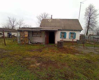 Дом в селе Рацево