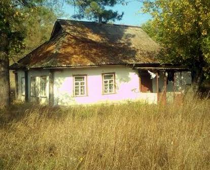 Продам  будинок з приватизованою ділянкою 25 соток  в селі Мельники