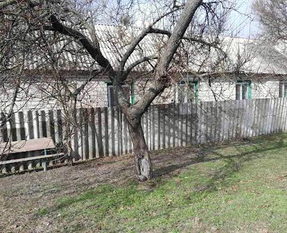 Продам будинок у селі Богуслав