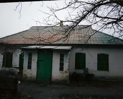 Будинок з ділянкою 44 сотки у селі Пологи н.Санжарський район