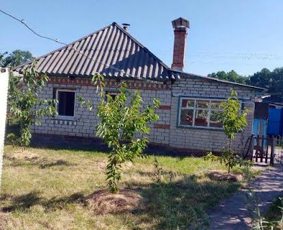 Продам дом на Ревовке в Светловодске.