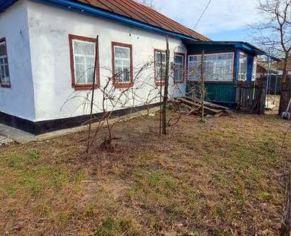 Продаж будинку в 35 км від Чернігова, смт Олишівка