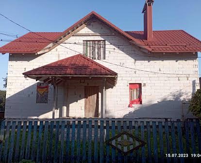 Будинок, Житомирська область, Сінгури