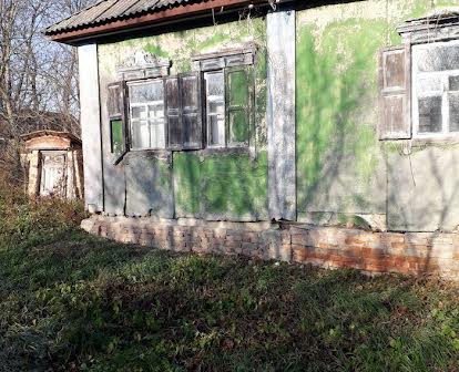 Будинок в с.Красне, 15 км від м. Конотоп, Сумська обл.