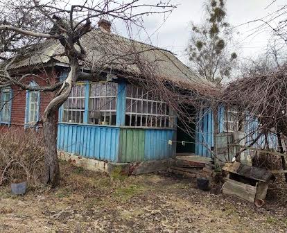 Продам дом в селе Мокрые Велички 15 км от Славутича,