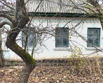 Приватний будинок в с. Тупичів, 40 км. від м. Чернігова