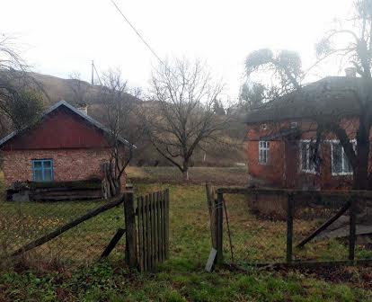 Хата , село Чесники
