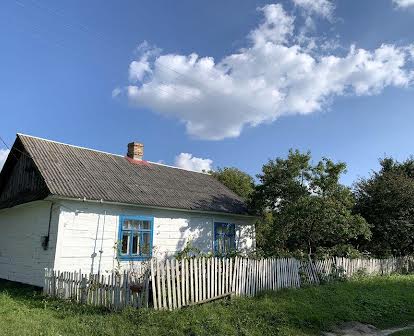 Продам будинок в селі Новини