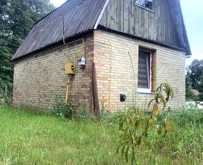 Дачний будинок серед мальовничої природи в передмісті Києва