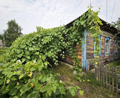 Продам дом в селе писки возле Иванкова
