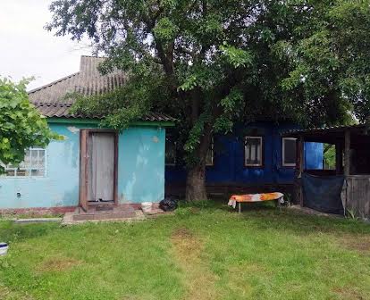 жилой дом в с. Подлесное 83 м2 .трасса Киев- Чернигов,90 км от Киева.