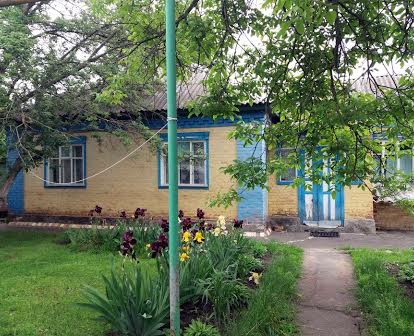 Продам цегляний будинок в місті Глобине Полтавської обл площа 110 кв.м