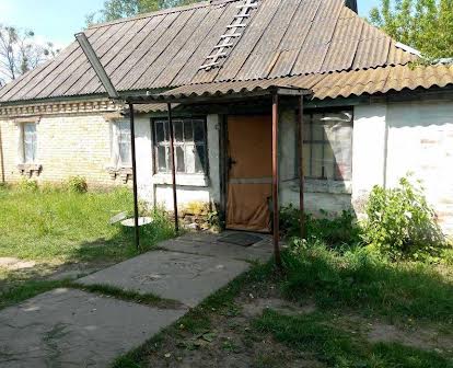 Продам дачний будинок с.Абрамівка Вишгородський р-н, Київська область.