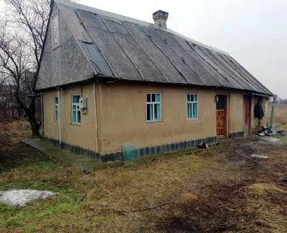 Продам дом в Новоселовке 45 соток