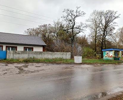Продам будинок в селі Чорноглазівка