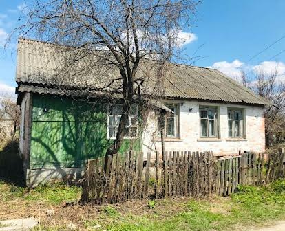 Продается дом. Новгород-Северский