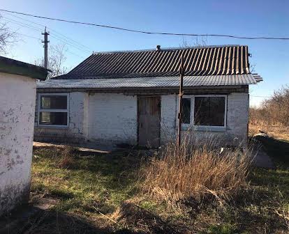 Продам будинок, земельну ділянку Салівка (Царічанський район)