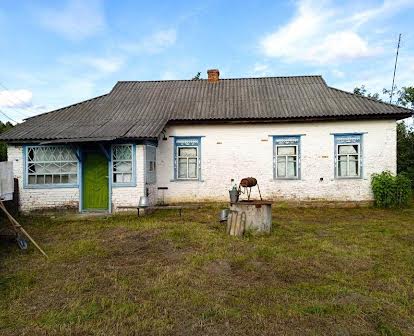 Будинок у селі Дніпровське(Повідов)