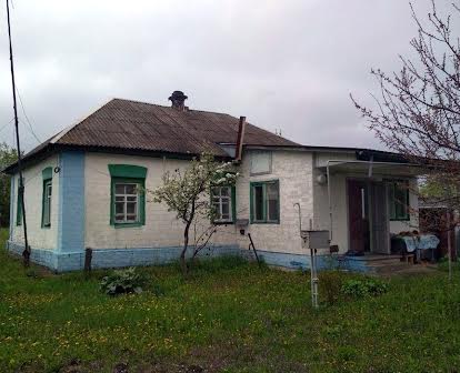Продам будинок в с. Гоголів, Київська область