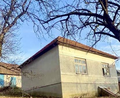 Продам будинок в центрі с.Арданова, 25км від Мукачева