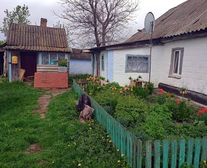 Продам будинок село Рівне Новоукраїнський район