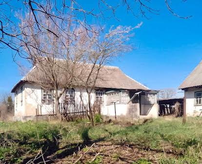 Продам будинок в смт Корнин, Житомирська область