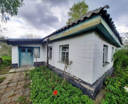 Продам будинок в с. Худоліївка