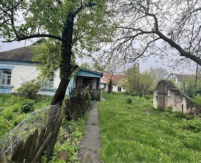 Продам будино село Черняхів. Обухівський район