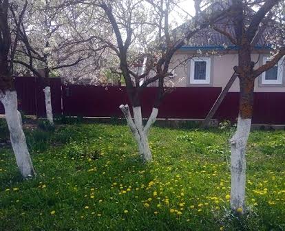 Власник продає будинок   біля дороги село Йосипівка