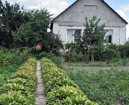 Любимівка, продам будинок з садом,  під Києвом 25 мин до метро. Термін