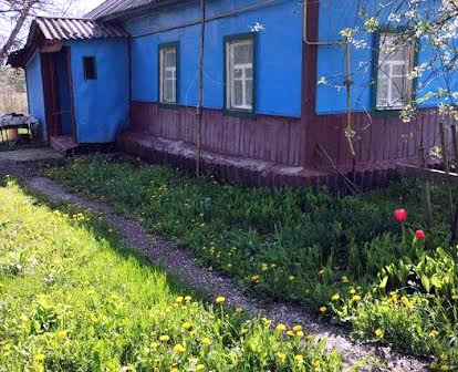 Пропонуємо  затишний будинок, розташований у  центрі селища  Олишівка