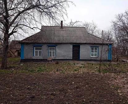 Будинок з участком у Новомиргороді