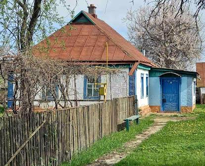 Продам дом в селі Чутівка