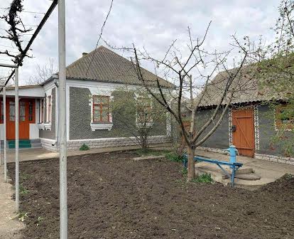Приватний будинок в селі Писарівка Подільського району