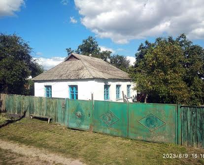 Продається будинок смт Єрки Звенигородського району вулиця Північна 3г
