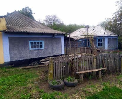 Продам дом в Одесской области.