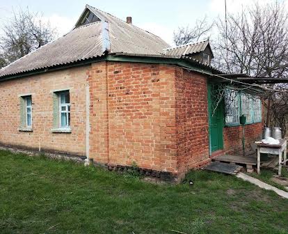Передмістя, Миколаївка, окремий добротний будинок в мальовничому місці