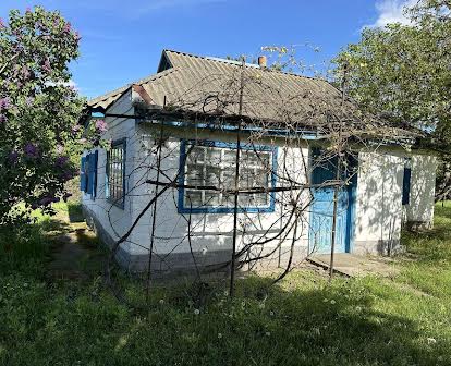 Будинок/ дача в селі Куцеволівка